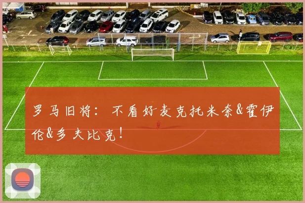 罗马旧将：不看好麦克托米奈&霍伊伦&多夫比克！